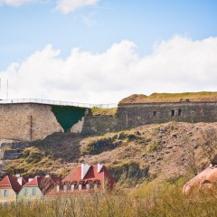 DSC_2583LR-2