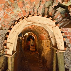 DSC_2604LR-2