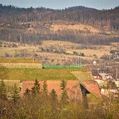 DSC_2667LR
