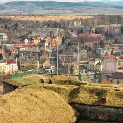GBE_7085